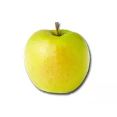 Voće sadnice jabuke Zlatni delišes
